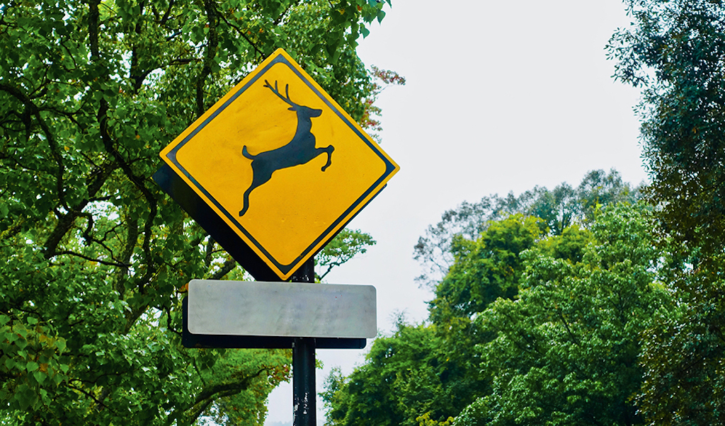 Deer Crossing Sign
